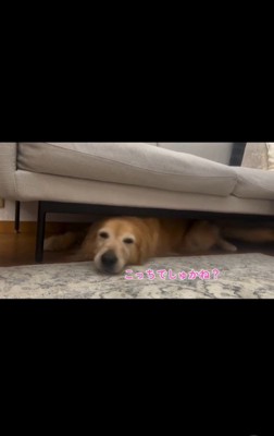 雷が怖いハルちゃん、お父さんが帰宅したら…5