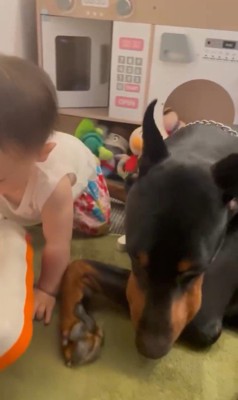 テンくんとニルくんの違い4