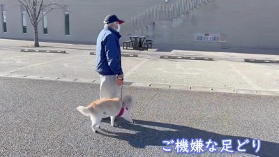 ゴキゲンな足取り♪