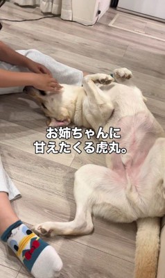 甘えん坊全開♡