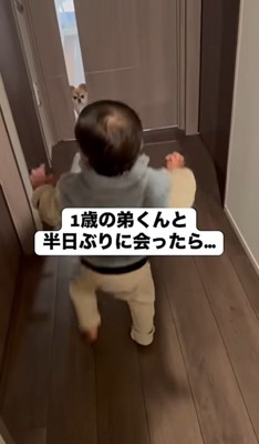 ハナちゃんに向かって歩く弟くん