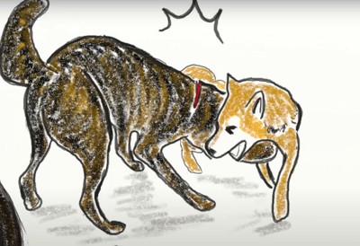 柴犬に体当たりする甲斐犬のイラスト