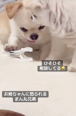 「お姉ちゃんも昔は…」