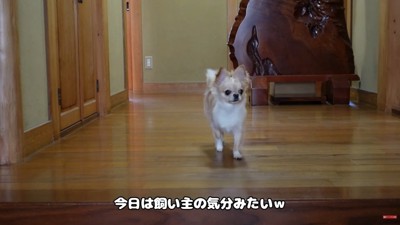 すぐに戻ってきました