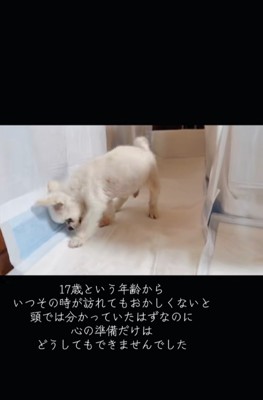 自力でトイレを済ませ…