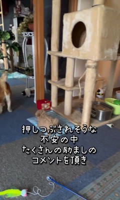 みらいちゃんが元気になるまで4