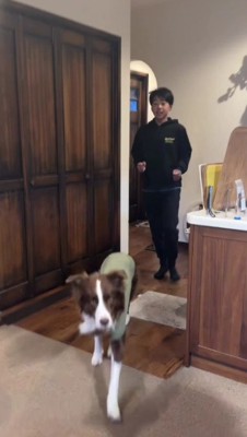 息子さんが帰宅したら…