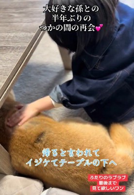 拗ねた子どものよう…