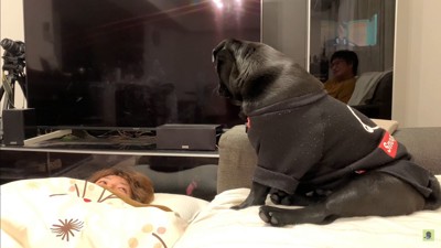 ママさんを介抱するわさび君4