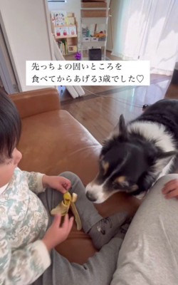 「これなら食べれるね!」