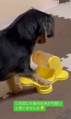 ごはんが出るオモチャで遊ぶれん君2