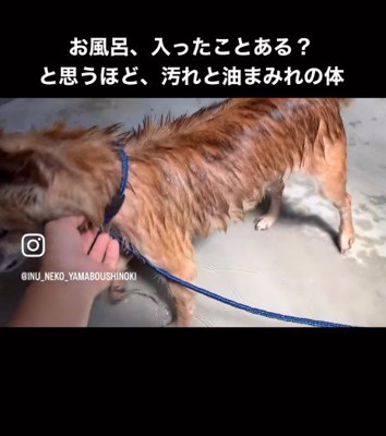 体もベタベタでひどい状態