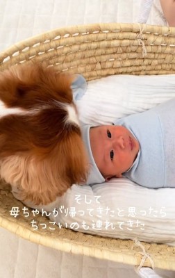 赤ちゃんとボーロくん