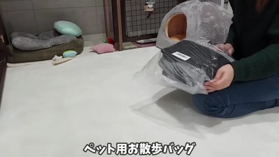 お散歩バッグでおでかけお