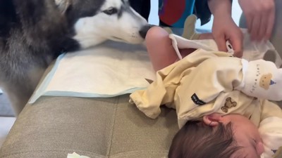 お世話したくて仕方ない