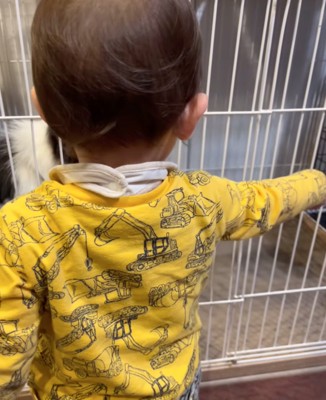 Goサインを出す男の子