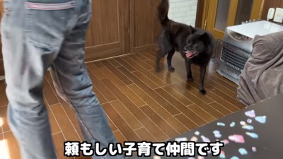 頼もしい一休さん