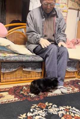 くぅちゃんとおじいちゃん3