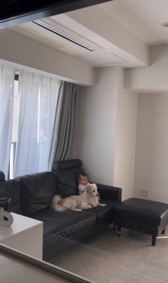 こたつ君と赤ちゃんの日常3