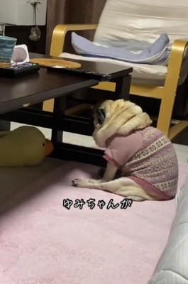 背中で語るユミルちゃん