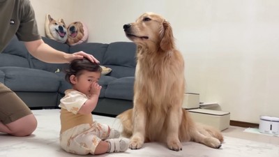 幸せな家族の光景でした