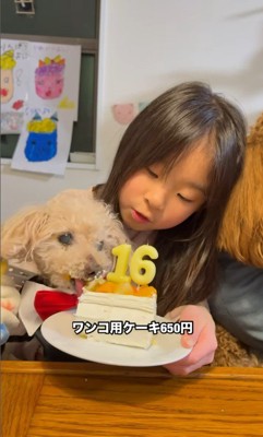 モンくんのお誕生日会7