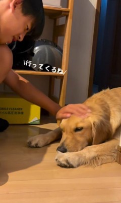もう一度ナデナデしてから出発♪