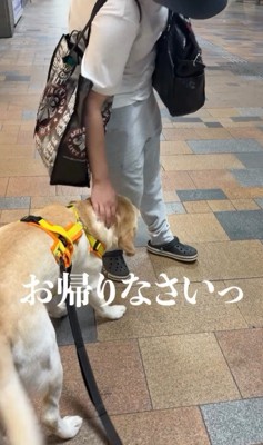 ママさんのお迎えに来たレオンくん8