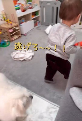 リリちゃんと赤ちゃん⑩