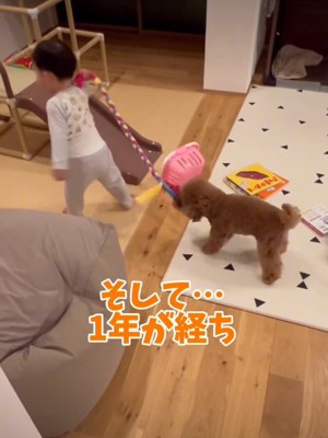 おもちゃで遊ぶ赤ちゃんと犬1