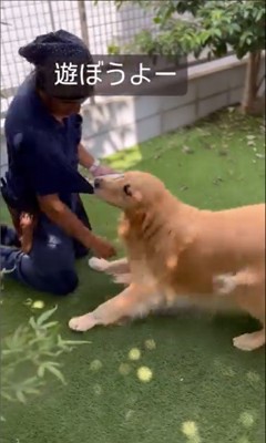 そら君と植木屋さんのふれあい4