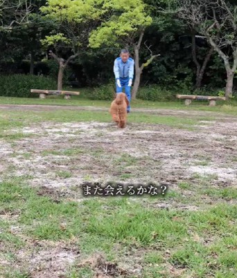 きっとまたいつか会えるね！！