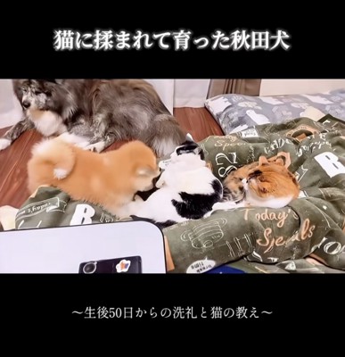 気になる先輩たち