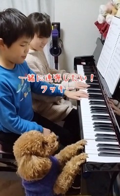 ピアノを弾くラッキーちゃん
