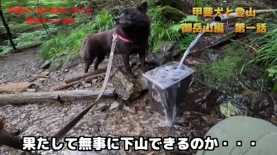 家族みんなで山登り