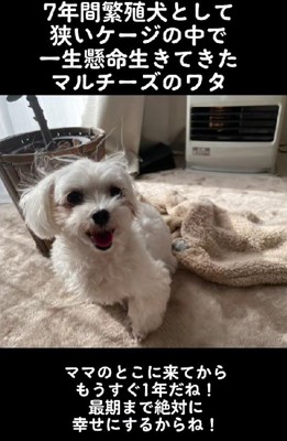 最期までずっと一緒だよ