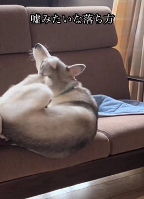 頭を搔いていたら…