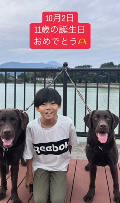 犬2匹と子どもが並んで座っている誕生日の記念写真