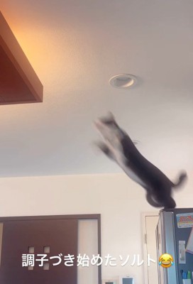 のびのびと幸せに暮らしている