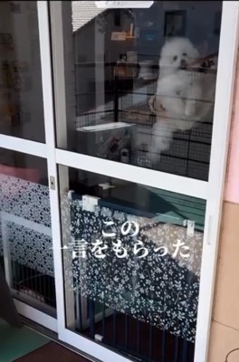 立ち去る投稿主さん