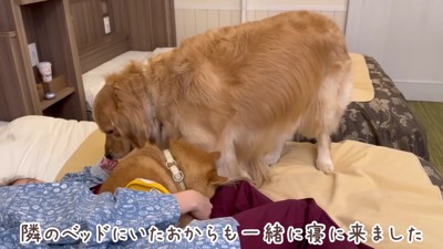 おからちゃんもきた