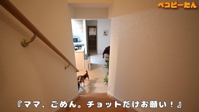 ペコちゃんを1階に置いてきたら…