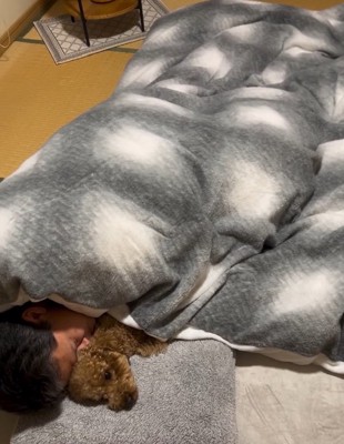 寄り添って眠るふたり