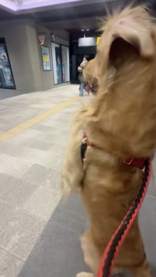 抑えきれない喜び