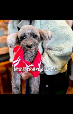 おこげちゃんが幸せを掴むまで9