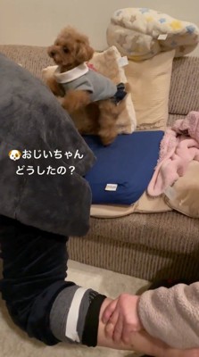 男性に近寄る犬