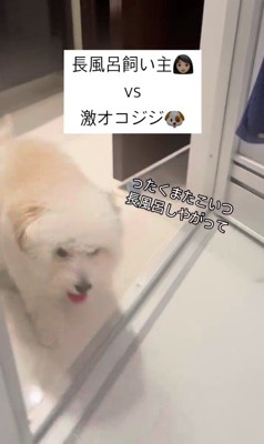 お風呂場に突撃するジジくん2