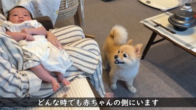 ずっと赤ちゃんのそばに♡