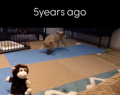 驚いてくるくるっ