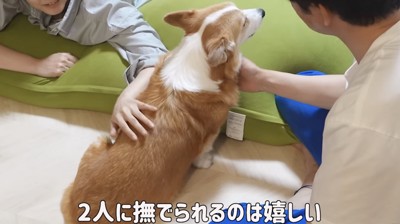 なでられてご満悦